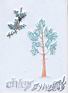 Pinus silvestris.jpg